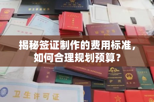 兴仁揭秘签证制作的费用标准，如何合理规划预算？
