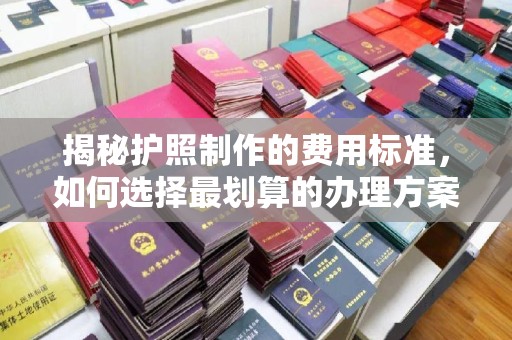 兴仁揭秘护照制作的费用标准，如何选择最划算的办理方案？