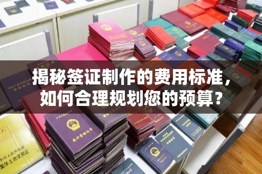 兴仁揭秘签证制作的费用标准，如何合理规划您的预算？