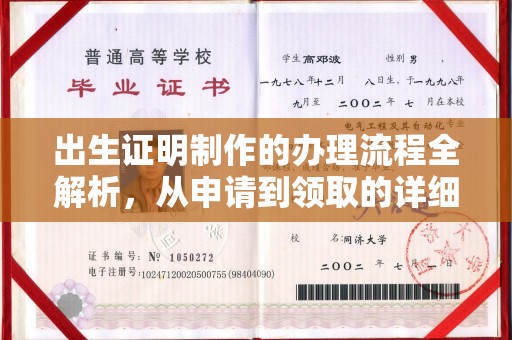 兴仁出生证明制作的办理流程全解析，从申请到领取的详细指南