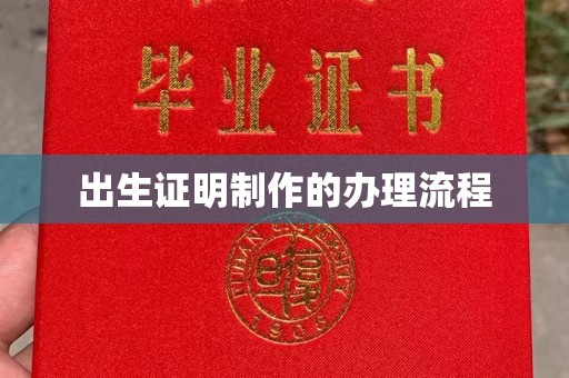兴仁出生证明制作的办理流程