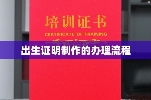 兴仁出生证明制作的办理流程