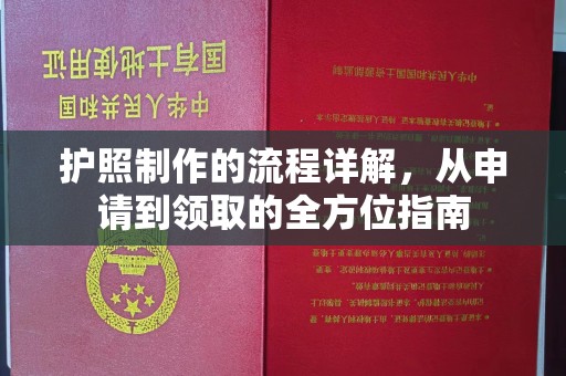 兴仁护照制作的流程详解，从申请到领取的全方位指南