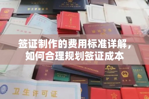 兴仁签证制作的费用标准详解，如何合理规划签证成本