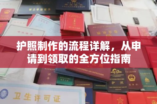 兴仁护照制作的流程详解，从申请到领取的全方位指南